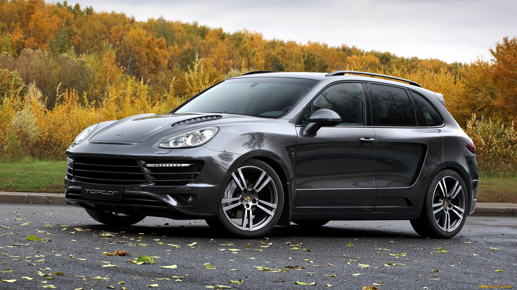 porsche cayenne, , porsche, dr, ing, h, c, f, ag, , , 